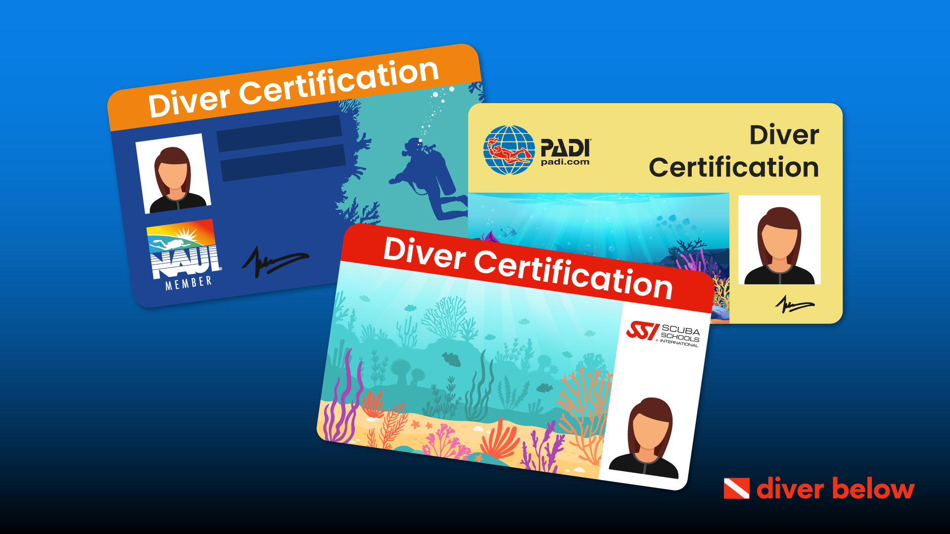 vector graphic showing scuba certifications from SSI, PADI, and NAUI Worldwide