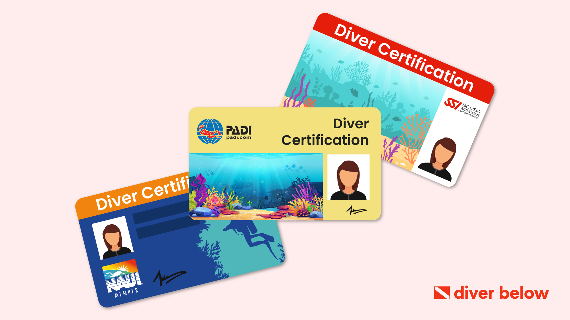 vector graphic showing scuba certifications from SSI, PADI, and NAUI Worldwide