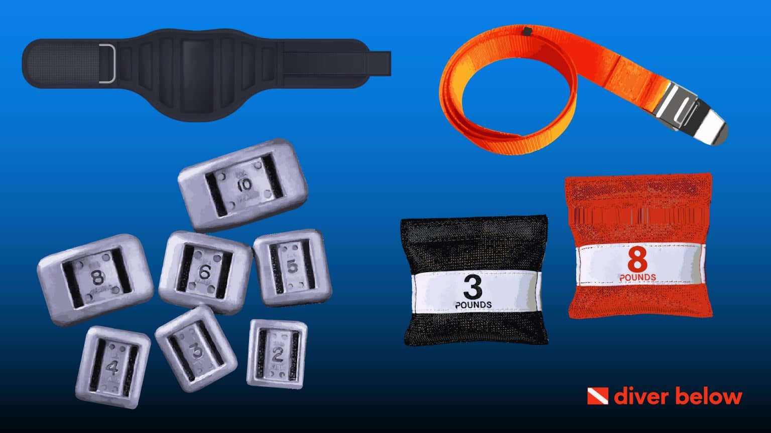 Scuba Diving Weight Calculator Find Out How Much Weight You Need