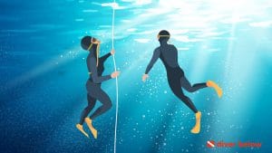 vector graphic showing two people skin diving and ascending using a mooring line as they go up