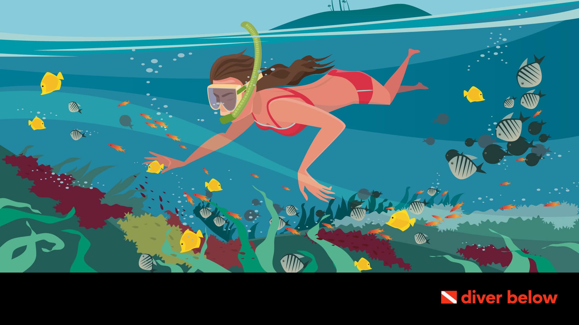 vector graphic showing a woman snorkeling in the ocean with fish surrounding her