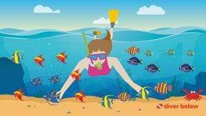 vector graphic showing a woman snorkeling in the ocean with fish surrounding her