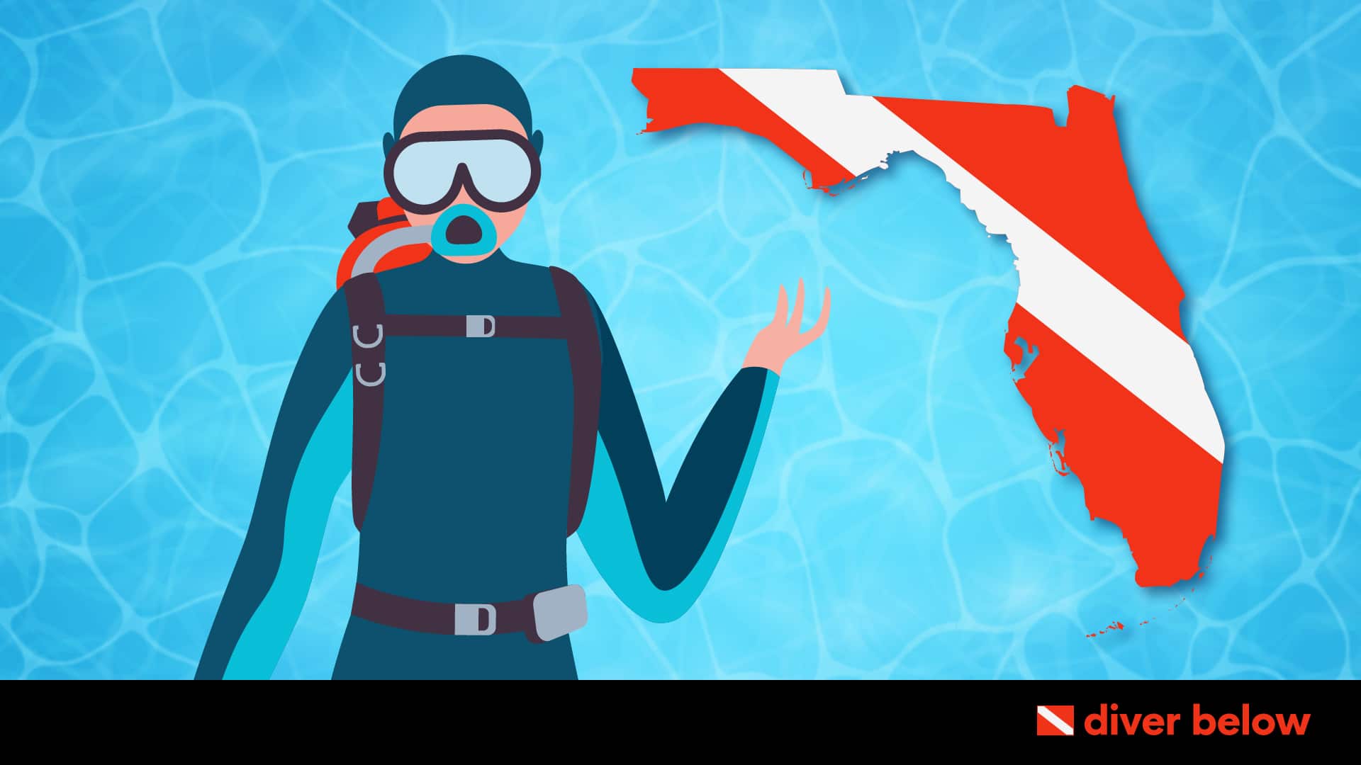 vector graphic showing a map of florida and a diver for diving in florida post