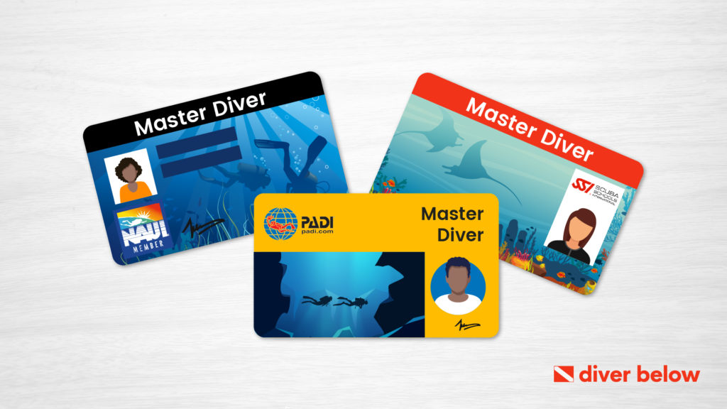 vector graphic showing master diver certification cards from padi, SSI, and NAUI